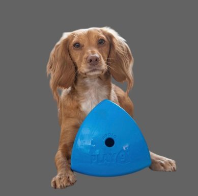 Roolo Dog Toy Roolo Dog Toy